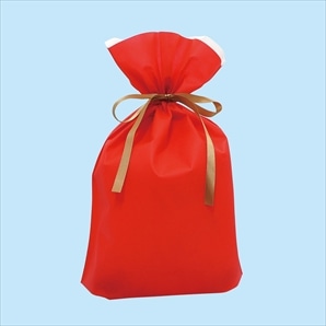 【10枚】 不織布リボン付きギフトバッグ レッド 巾着 底マチ付き 