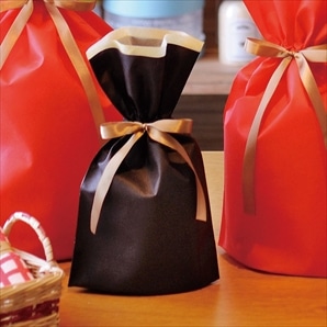 【10枚】不織布リボン付きギフトバッグ ブラウン 巾着 底マチ付き