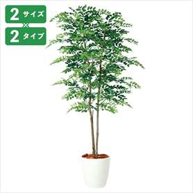 アカシアデュアル 人工樹木 フェイクグリーン 人工観葉植物