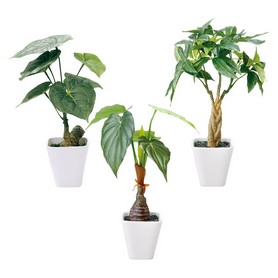 インテリアグリーン(光触媒加工)