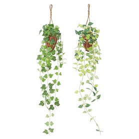 グリーンハンギング