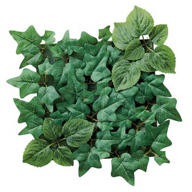 ウォールグリーン