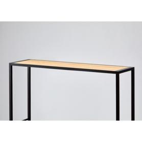 天板 奥行35cmタイプ 幅120cmラテラル・ロコ用〔ストエキオリジナル〕