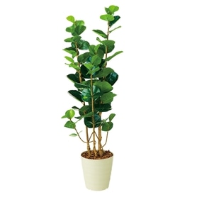 人工樹木 高さ160cm