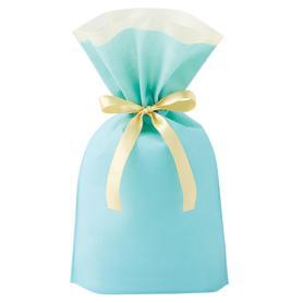 【10枚】不織布リボン付きギフトバッグ ミント