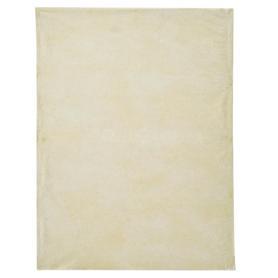 【100枚】不織布インナーバッグ 薄タイプ ベージュ