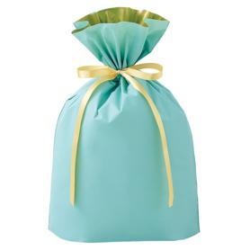 【20枚】梨地リボン付きギフトバッグ ミント