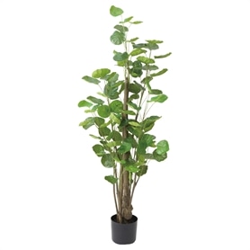 ポリシャスフリスビー 高さ130cm