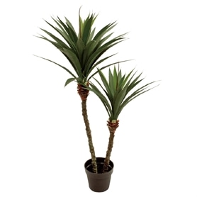 アガベポット 2本立 高さ115cm