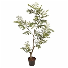 エバーグリーンポット 高さ150cm