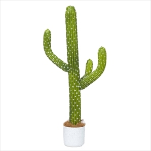 フェイクグリーンポット サボテン