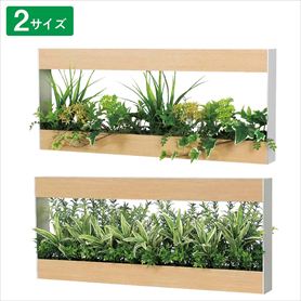 ウォールグリーン