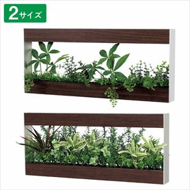 ウォールグリーン ブラウン