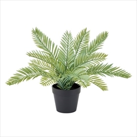 フェイクグリーンポット サイカス