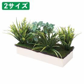 プランターボックス専用植栽〔ストエキオリジナル〕