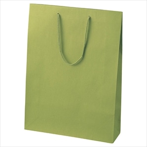 カラー手提げ紙袋 ヒワ