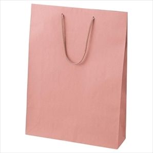 カラー手提げ紙袋 あずき