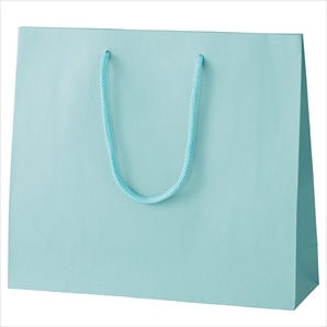 カラー手提げ紙袋 ミズ