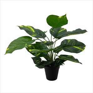 卓上フェイクグリーンポット〔ストエキオリジナル〕