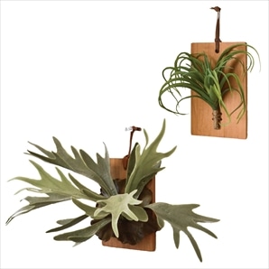 ウォールボード (フェイクグリーン)