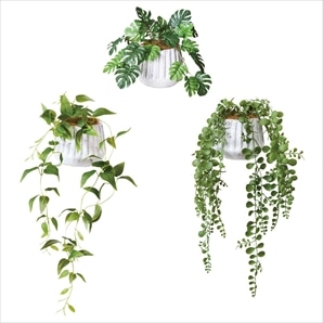 ナビールポットS (フェイクグリーン)