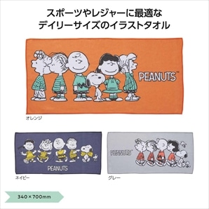 【120枚】 スヌーピーライン デイリータオル