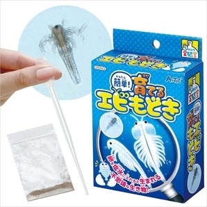 40個 簡単！育てるエビもどき イベントセット