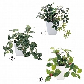 グリーンポット光触媒加工