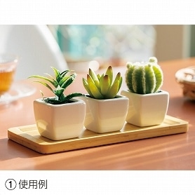 多肉植物プランター