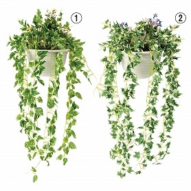 壁掛けグリーンアレンジ【フェイクグリーン・インテリア・リアル】