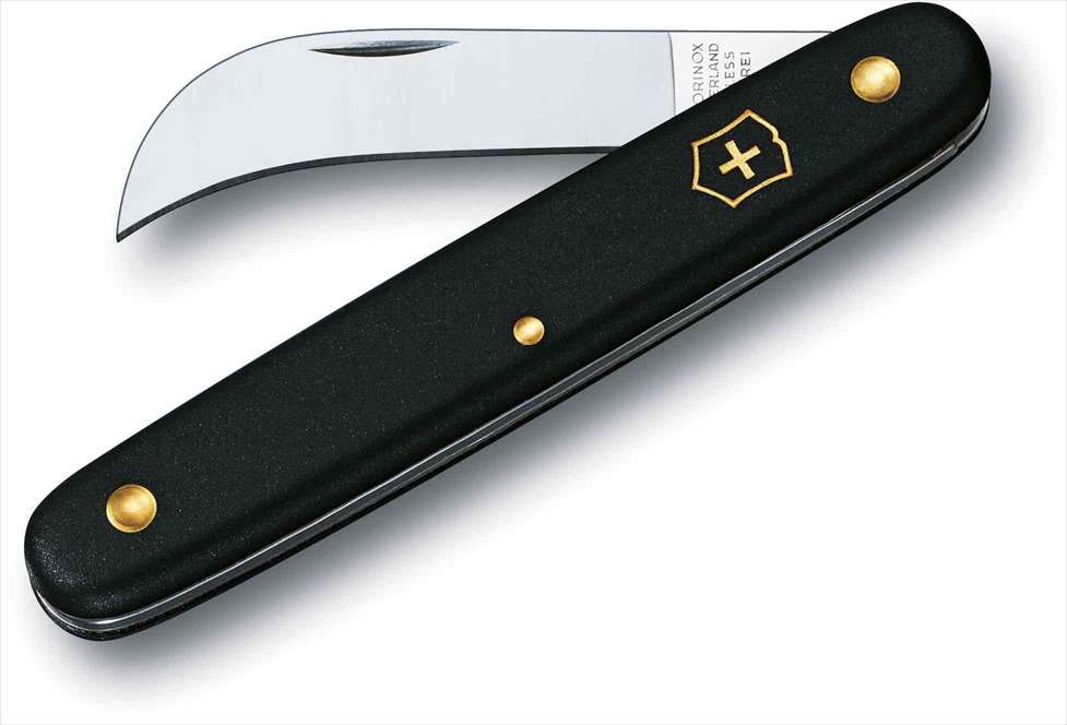 i-img1200x798-