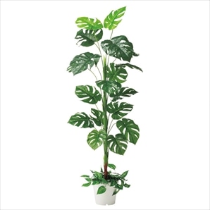 ドラセナ 人工樹木 フェイクグリーン 人工観葉植物: 店舗装飾用品