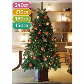 赤蝦夷松　トドマツ 苗木2本セット　クリスマスツリーに 2WAYガーランド付クリスマスツリーセット ゴールド 150cm［ストエキ