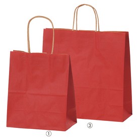 カラー手提げ紙袋 オレンジ 21x12x25cm 【通販】ストア・エキスプレス