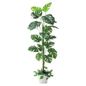 観葉植物 フェイクグリーン 人工観葉植物 人工樹木 人工樹木【グリーンモード】フェイクグリーン｜ ベルク BELK