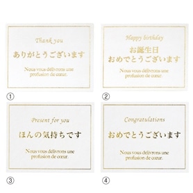 リボンシール確認用 ラッピングシール】 ヘッズ レッドリボンプレゼントシール-7 SG