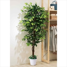 人工樹木 もみじ 鉢無し フェイクグリーン 180cm 1台: 店舗装飾用品