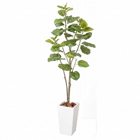人工樹木 フェニックス フェイクグリーン 210cm 1台: 店舗装飾用品