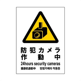 2枚入【防犯カメラ作動中】サインプレート縦(タテ中): 店舗運営用品