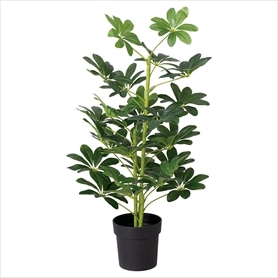 フェイクグリーン通販【通販】ストア・エキスプレス（ストエキ）