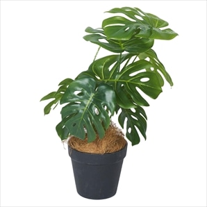 (法人限定)ストア・エキスプレス:人工樹木 モンステラ フェイクグリーン 人工観葉植物　180cm ｜Giantex 人工観葉植物 モンステラ 大型 フェイクグリーン 高さ