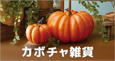 カボチャ雑貨