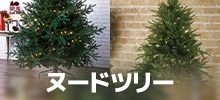 ヌードツリー
