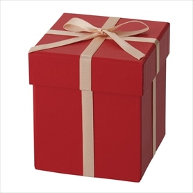 プレゼントボックス(クリスマス)