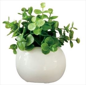 卓上(人工観葉植物)