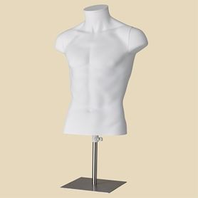 卓上トルソー(男性)