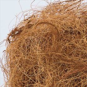 オプション(人工観葉植物)