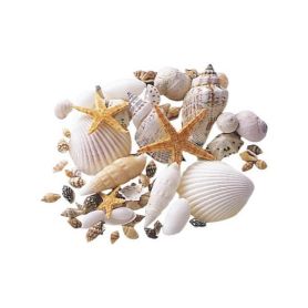 (夏)インテリア雑貨